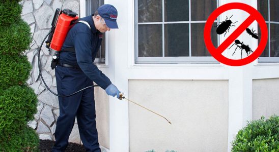 Karataş Hamam Böceği İlaçlama böcek ilaçlama ve haşere kontrolü — ilaclama-tr.com